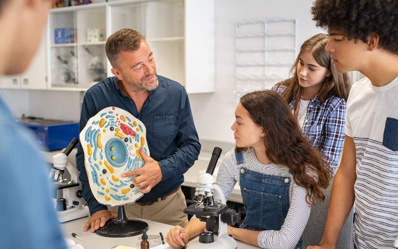 clases de lengua 1º bachillerato valladolid